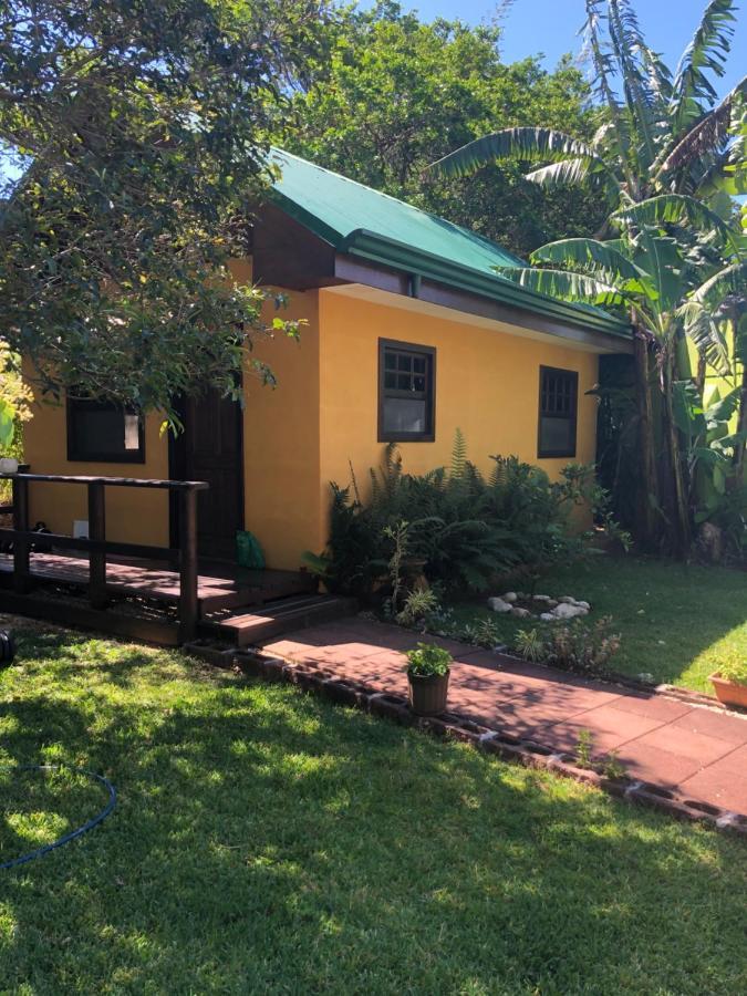 Airport Rio Segundo Studio Bed and Breakfast Alajuela Eksteriør billede